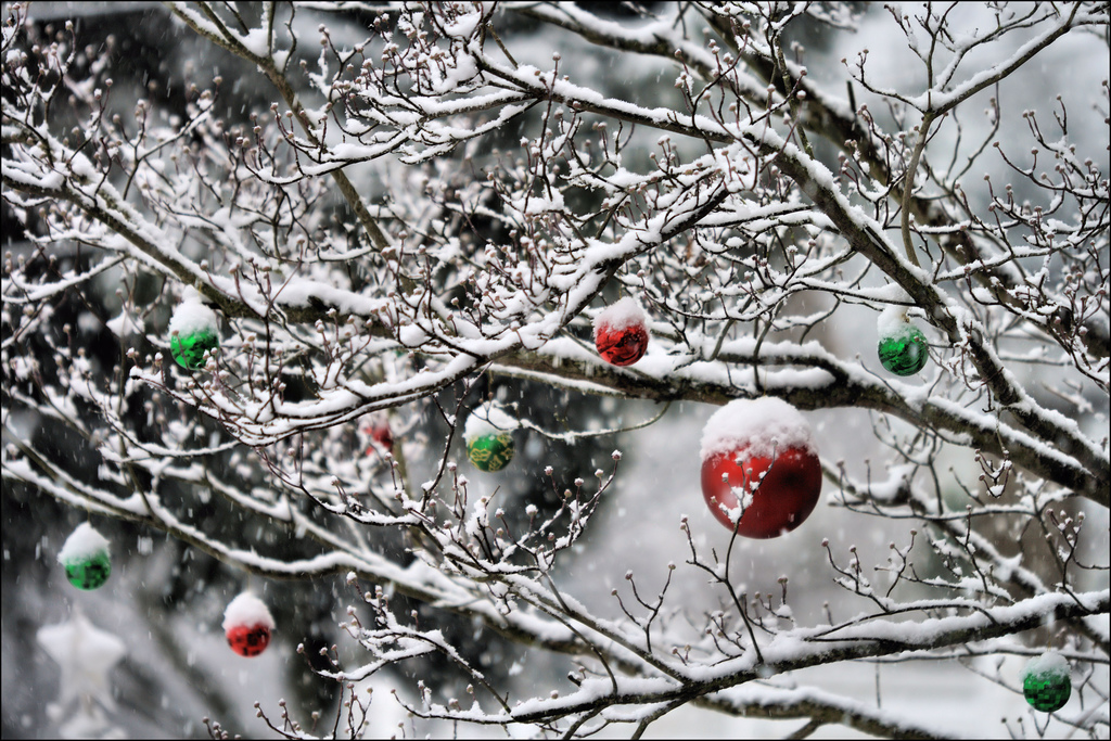 Blogmas Day 12: 3 Major Learnings from&nbsp;2020