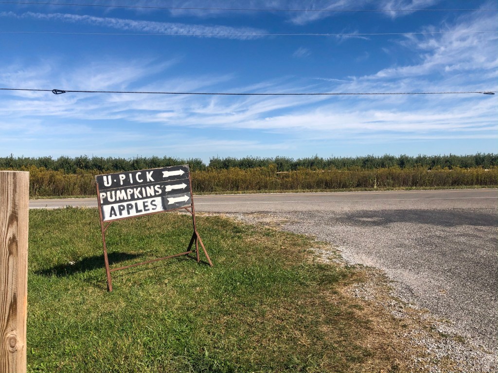 BlogOWeen Day 12: Halloween All-Time&nbsp;Favorites