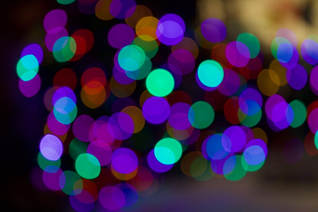 Blogmas Day 23: 5 Things I Learned in&nbsp;2019