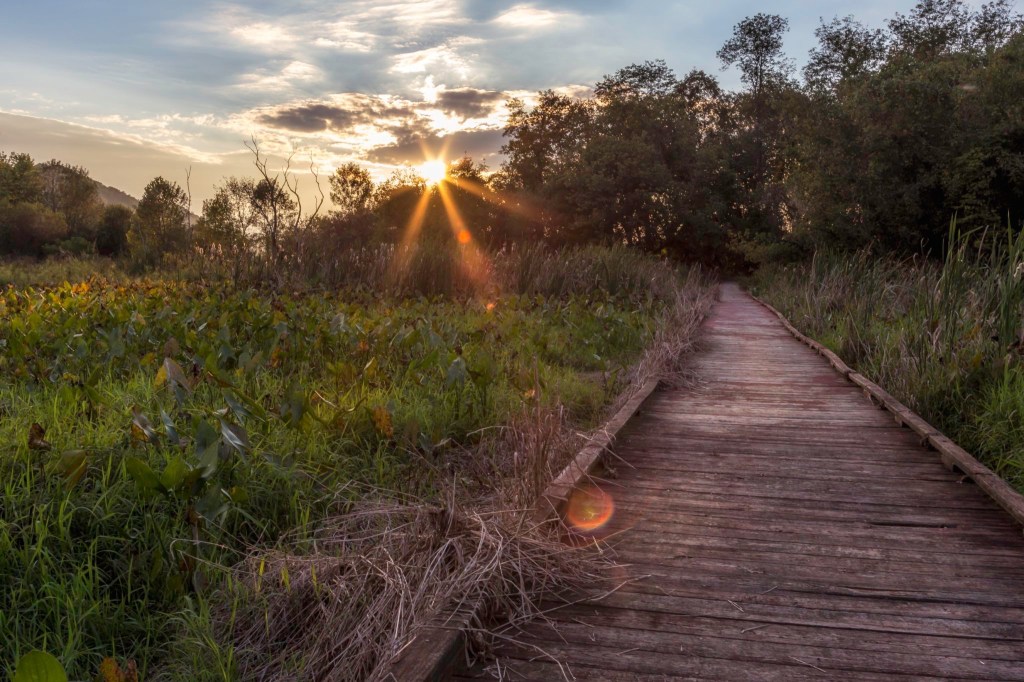 BlogOWeen Day 5: September&nbsp;Favorites