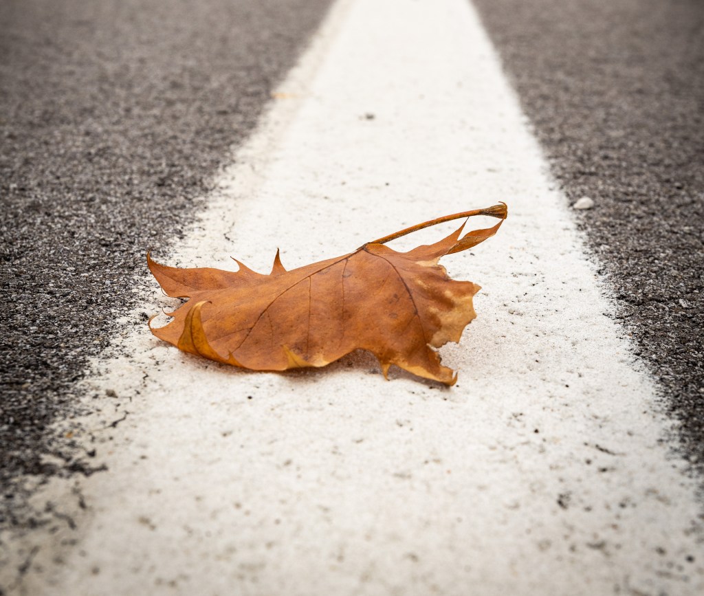 BlogOween Day 4: At Home Halloween for&nbsp;Kids