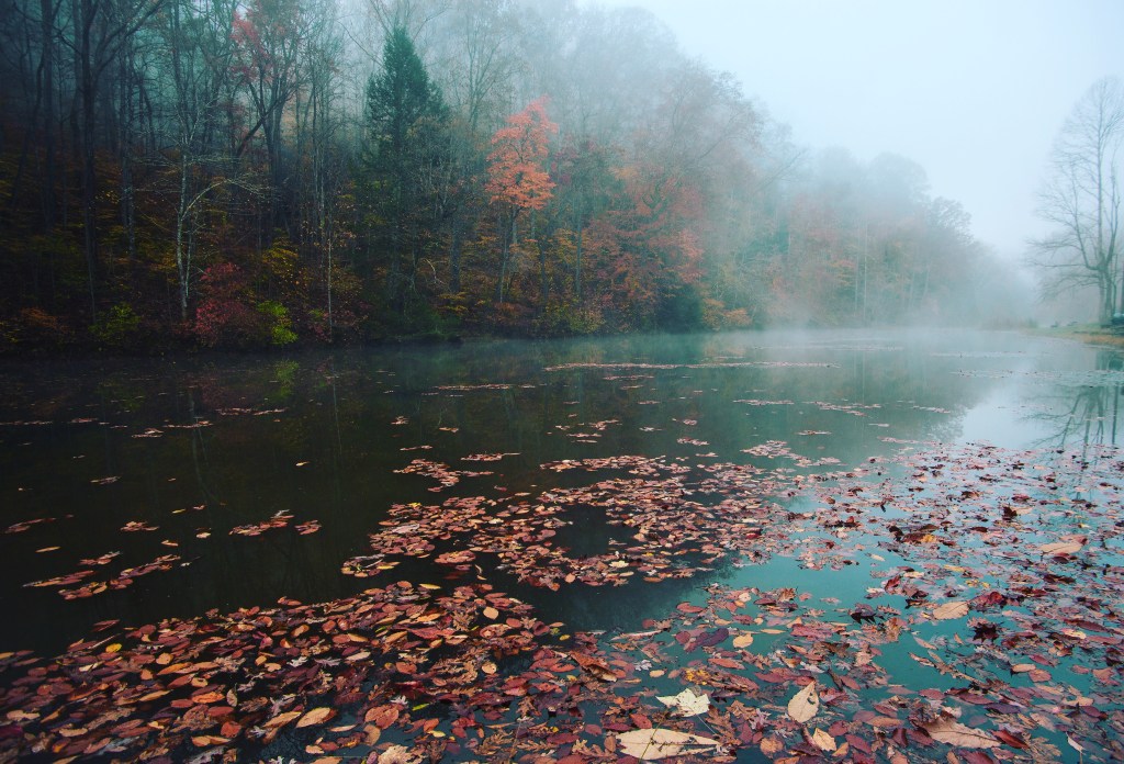 BlogOWeen Day 10: Netflix and&nbsp;Thrill(er)