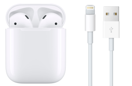 Screen Shot 2022-12-04 at 2.28.10 PM